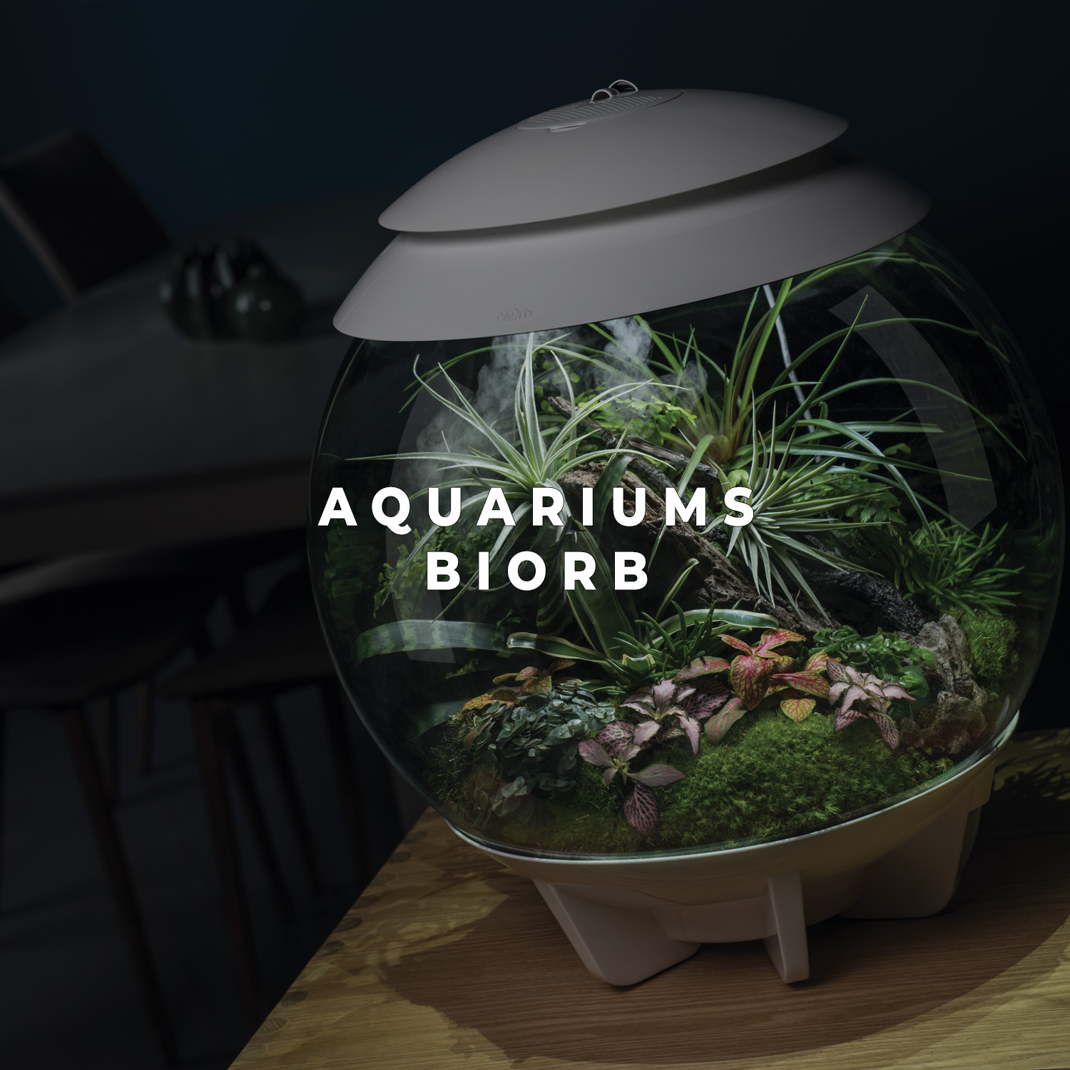Aquarium BiOrb 